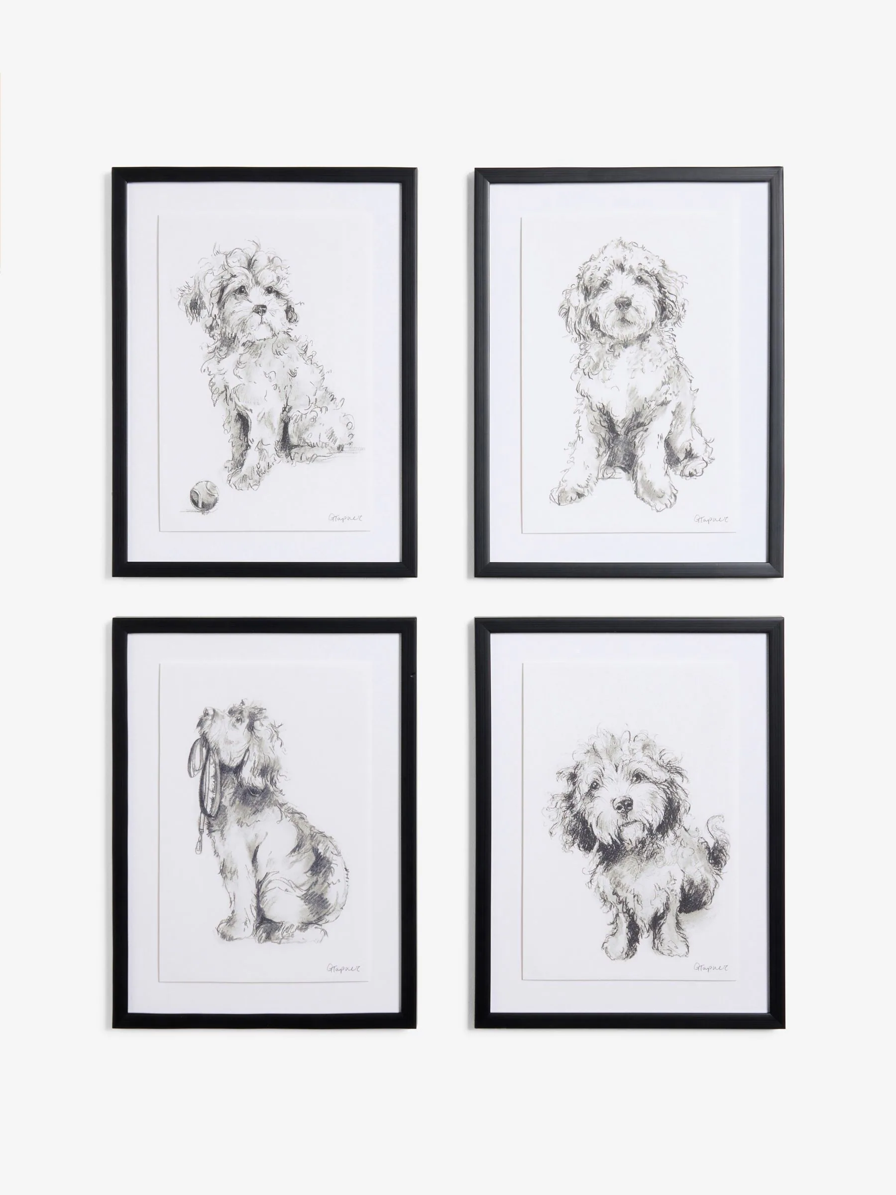 Set van 4 geschetste Cockapoo wanddecoratie
