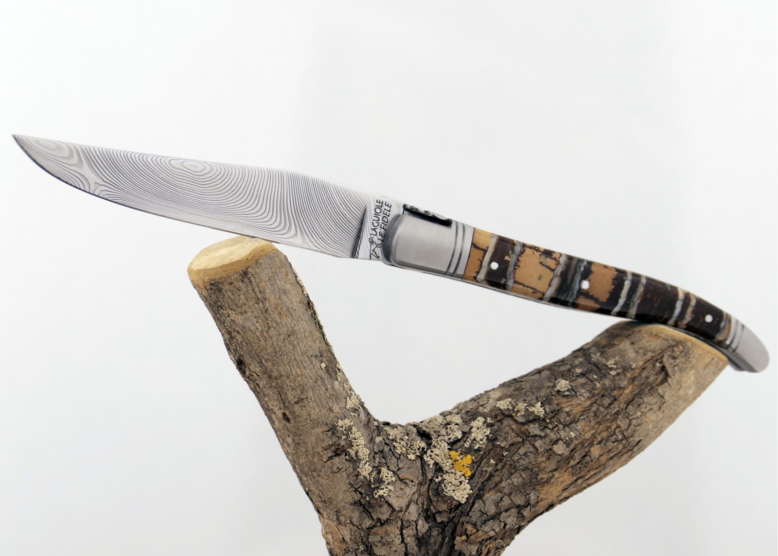 Couteau Laguiole avec un manche en Molaire de Mammouth Fossile