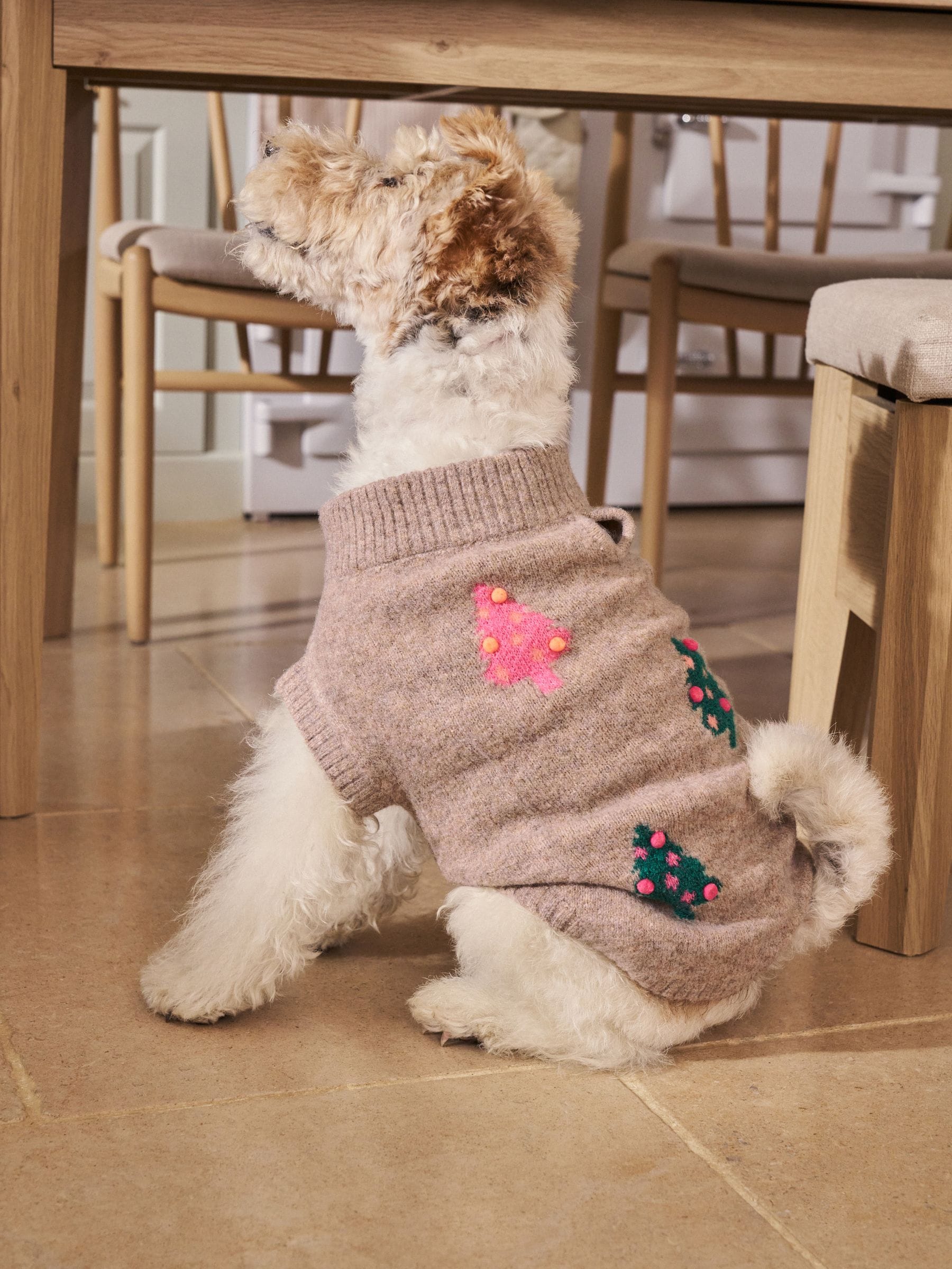 Neutral Bright Tree - Matching Family Christmas Knitted Dog Jumper