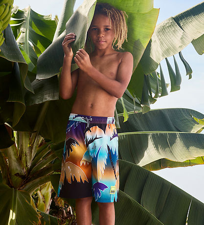 Molo Bådeshorts - UV50+ - Nilson - Faded Palmtrees