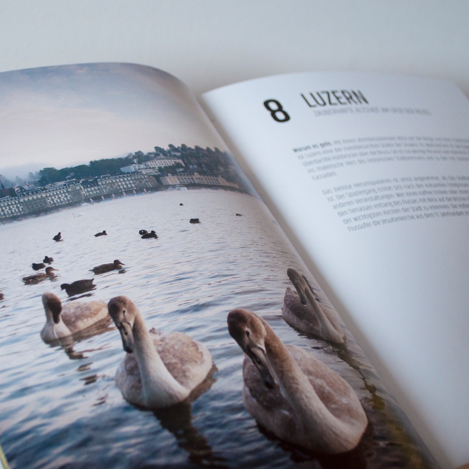 Livre 26 choses à voir absolument en Suisse