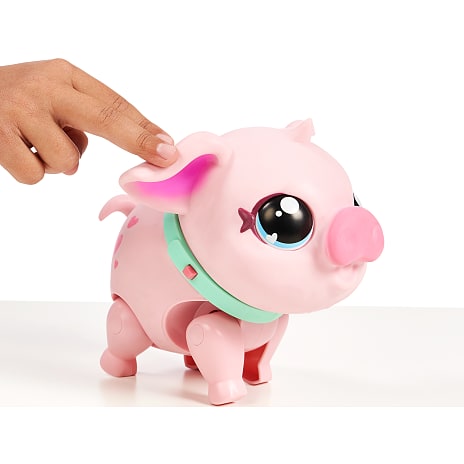 Little Live Pets - Piggly