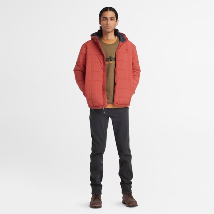 Jaqueta puffer Garfield Thermarange masculina na cor vermelha.