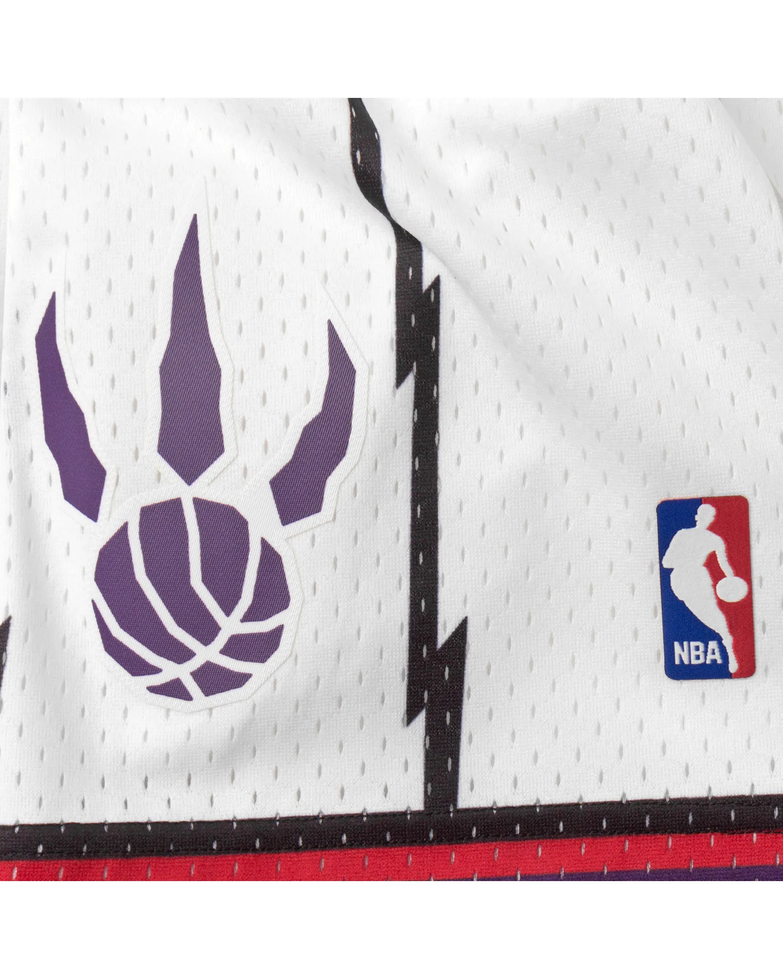 Mitchell & Ness NBA Swingman Shorts Toronto Raptors 1998-99