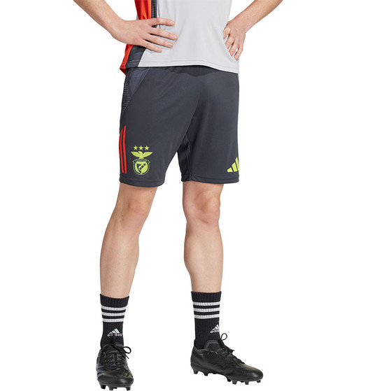 adidas SL Benfica Training Short 2024/2025