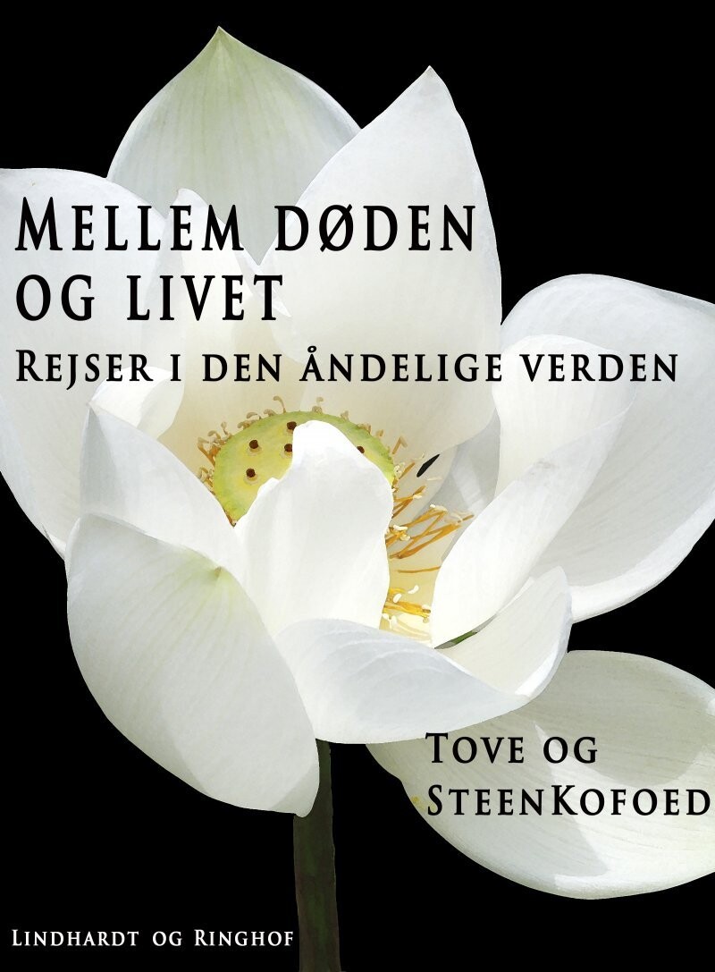 Mellem Døden Og Livet - Steen Kofoed - Bog