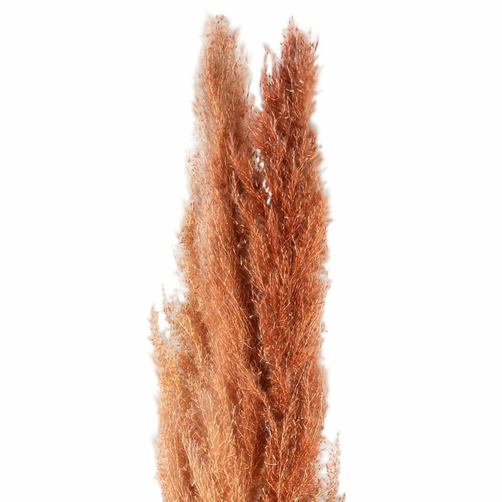 Ptmd branche artificielles dried - 65x7x110 cm - plastique - marron - set de 3