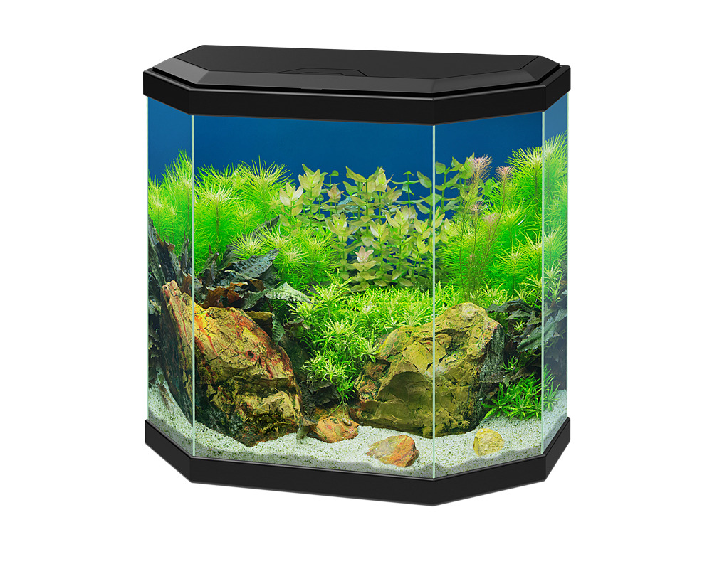 Aqua 30 LED Preto Ciano - Conjunto completo com LED, filtro e consumíveis