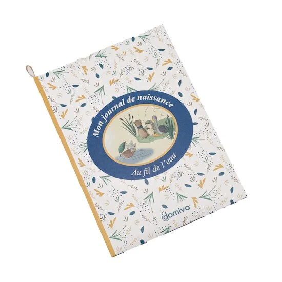 Au fil de l'eau Mon livre de naissance   de               Domiva