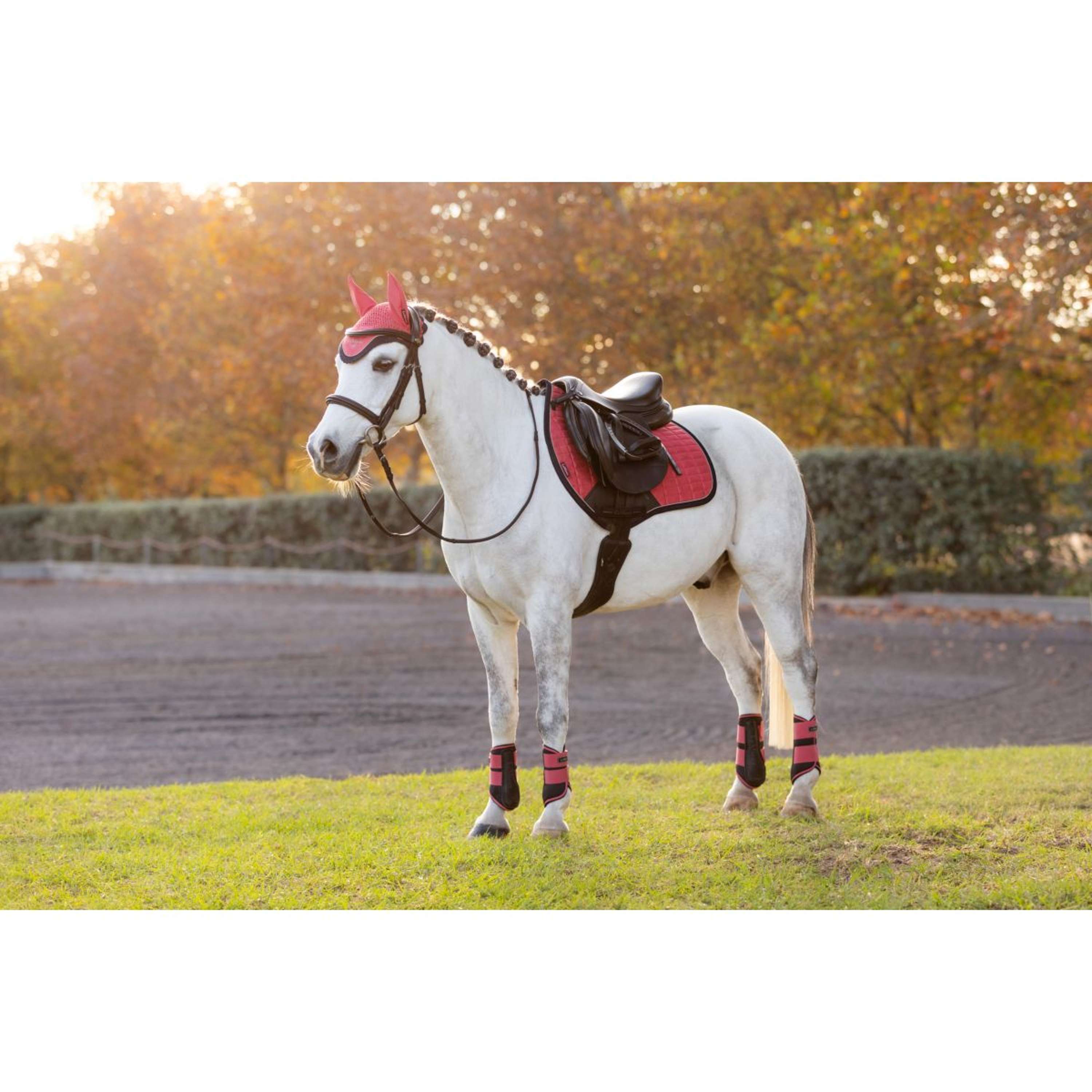 LeMieux Zadeldekje Mini Suede Springen Cranberry
