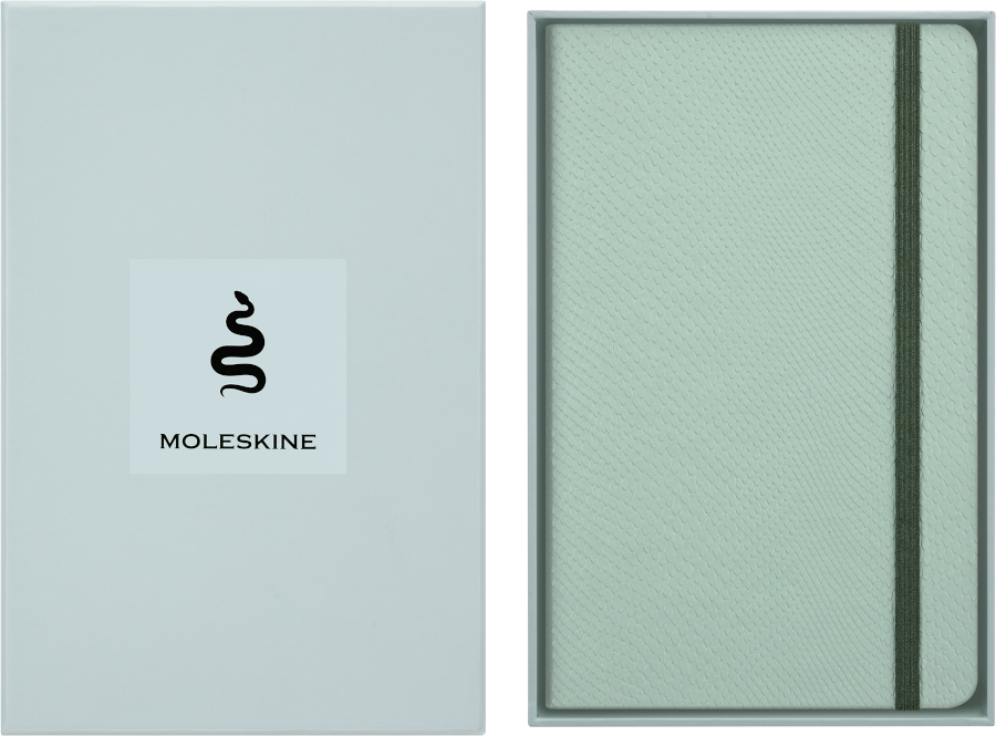 Year of the Snake Notebook Large, Ruled, 100% VEGEA® Hard Cover & Gift Box
