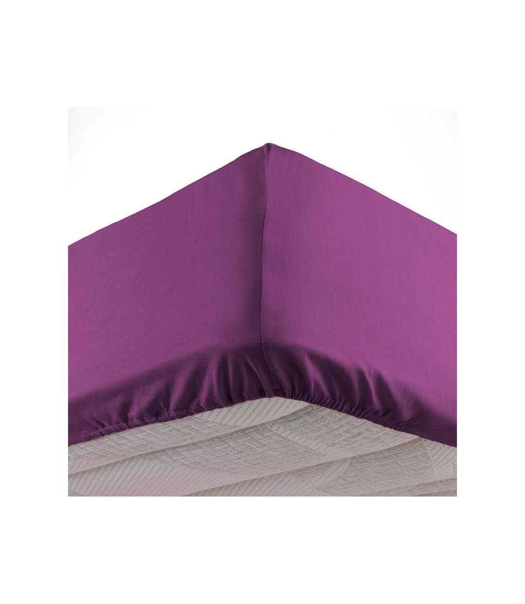 Drap Housse Lina 140x190cm Myrtille