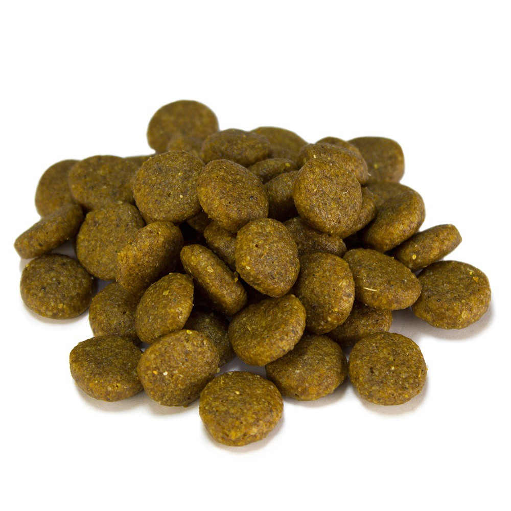 Arquivet Dog Sensitive sabor batata e salmão