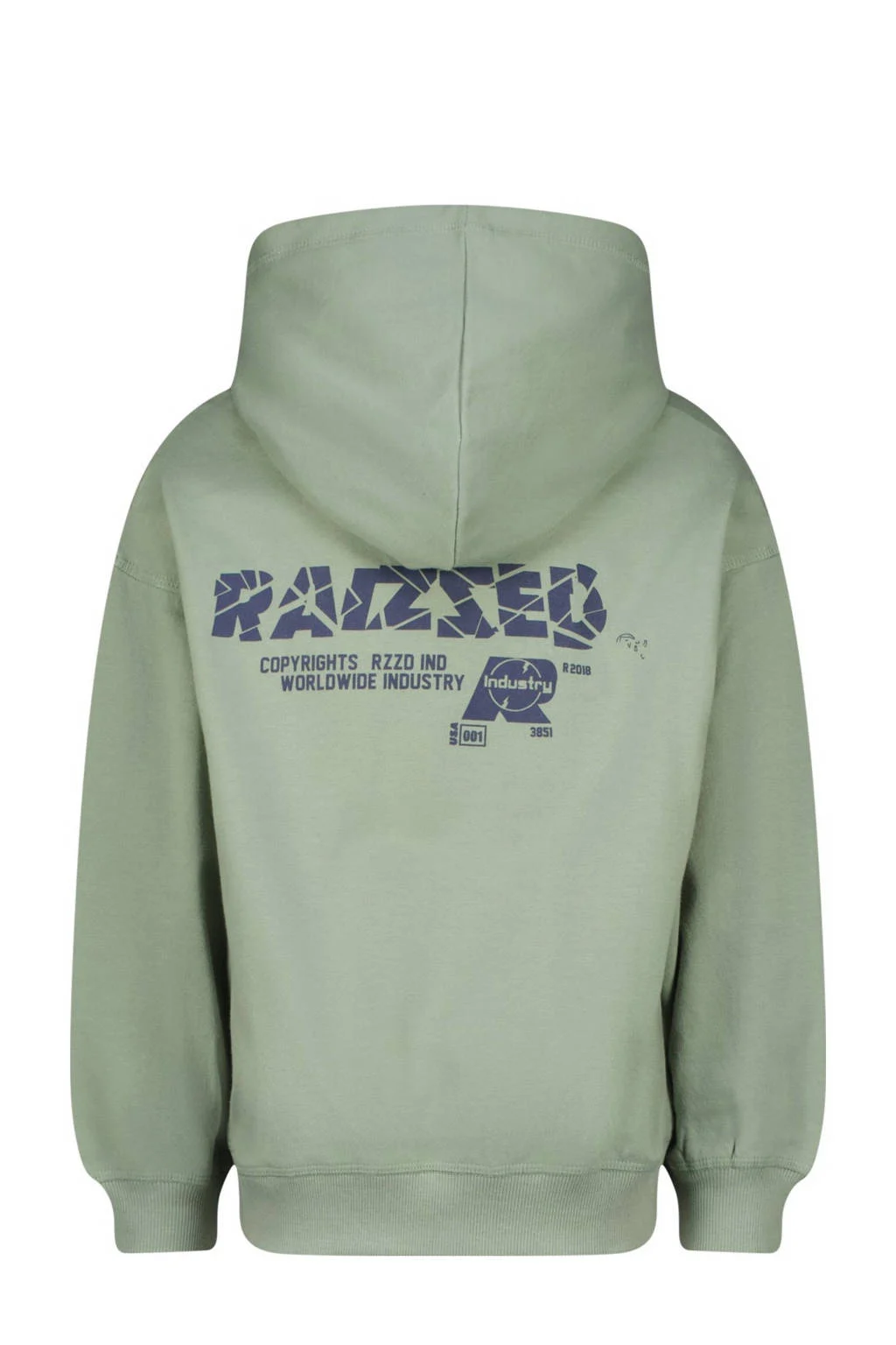 Raizzed hoodie Austin met backprint zachtgroen
