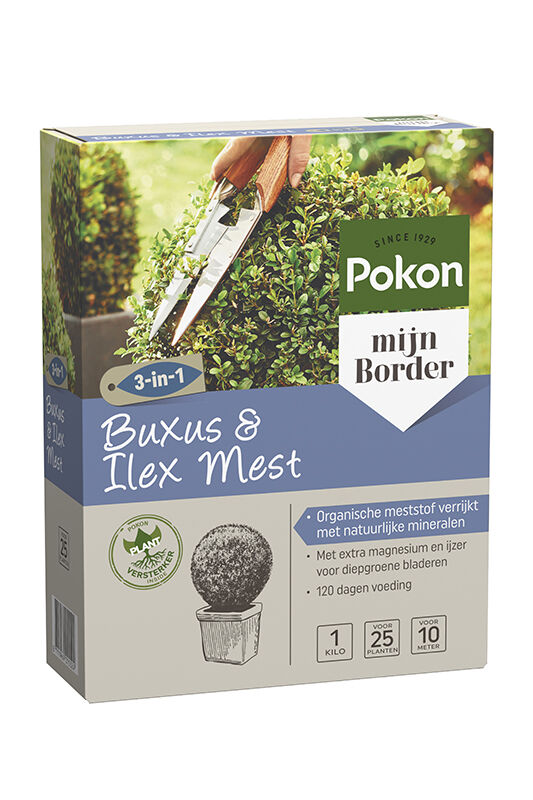 Pokon Buxus voeding - Siertuinmeststof - 1 Kilogram