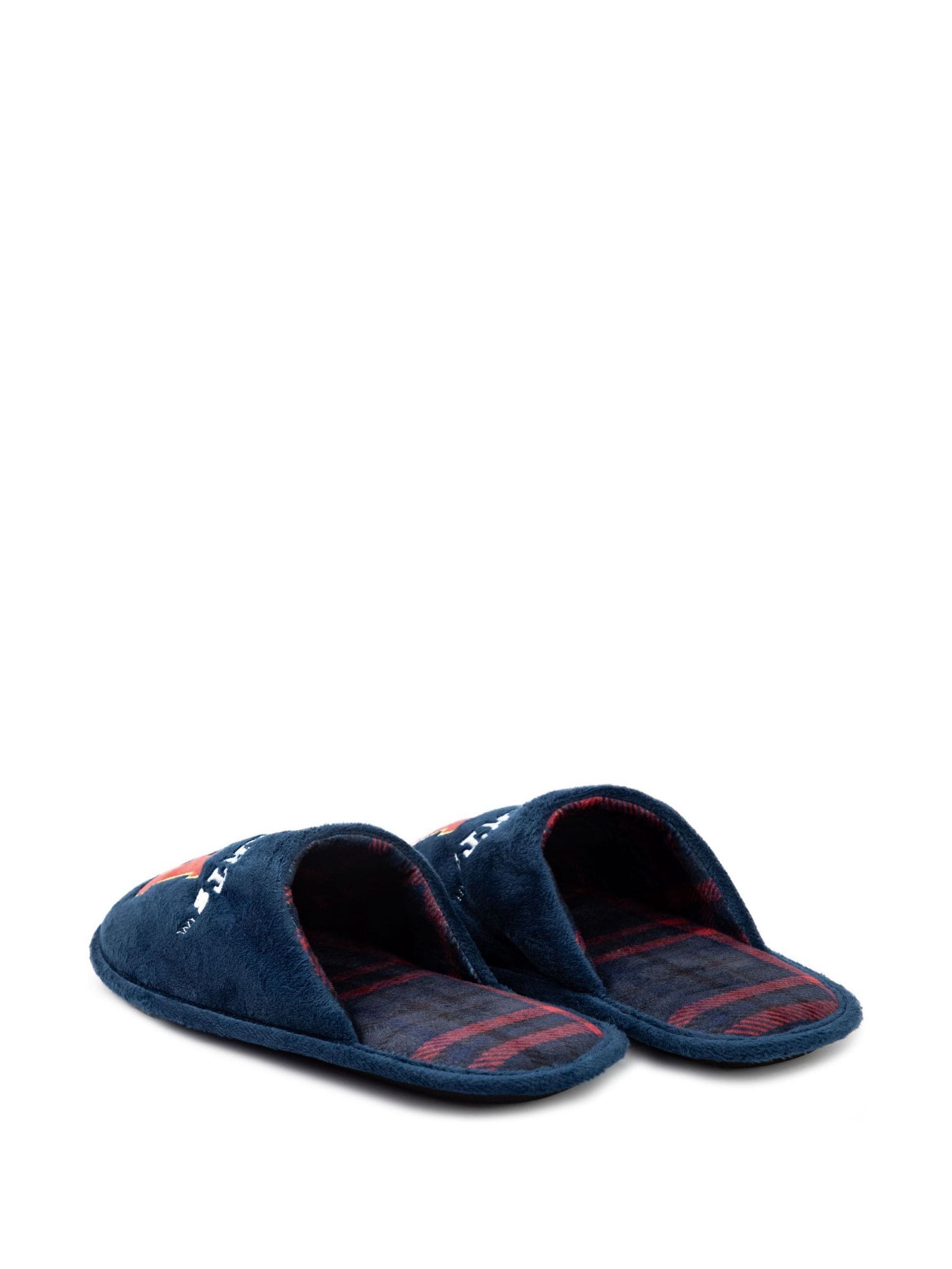 Vanilla Underground Mens Harry Potter Slippers
