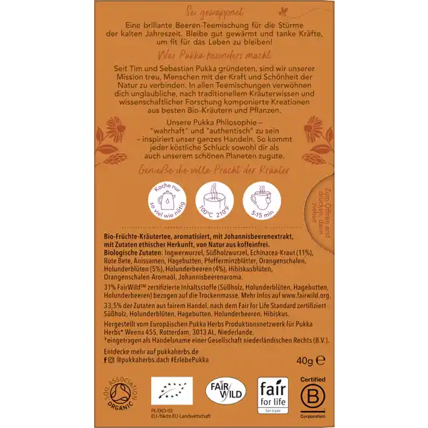Bio-Früchte-Kräutertee Holunderbeere & Echinacea, mit Echinacea und dunkelroten Beeren