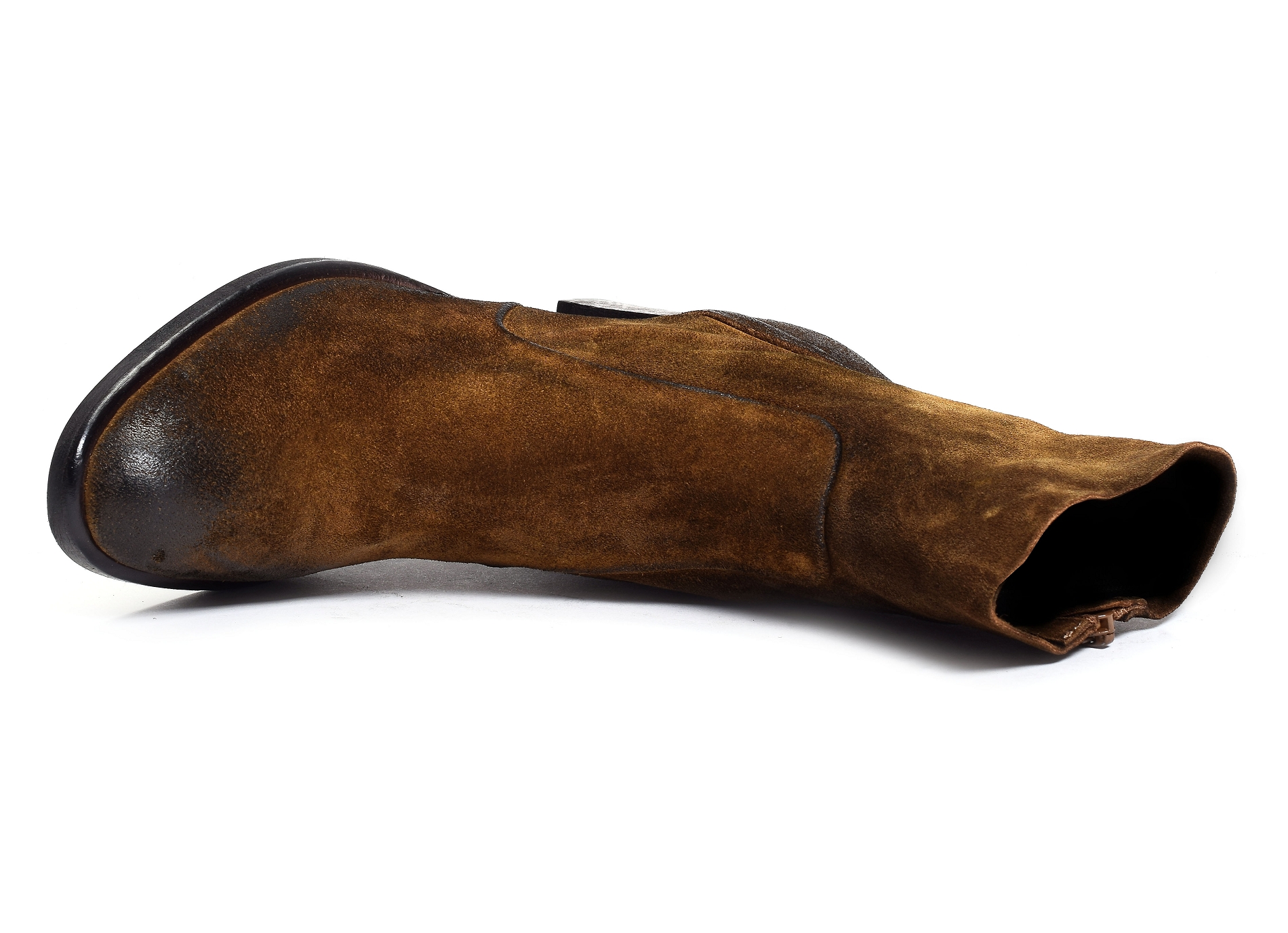 A4911 camel