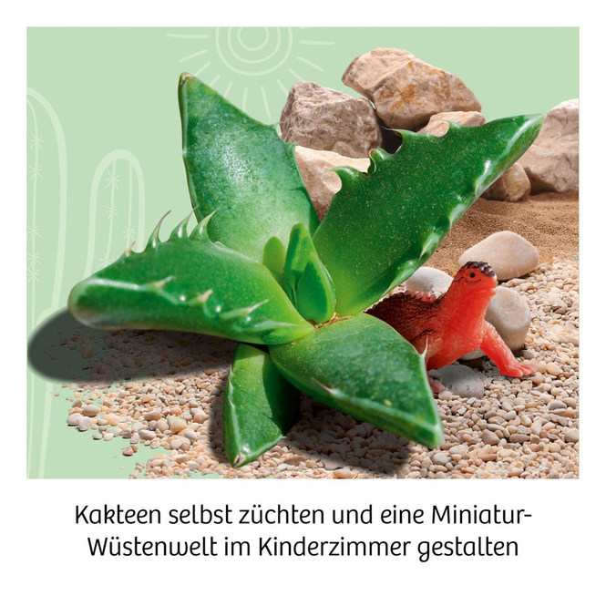Mitbring-Experimente - Kakteen-Wüste
