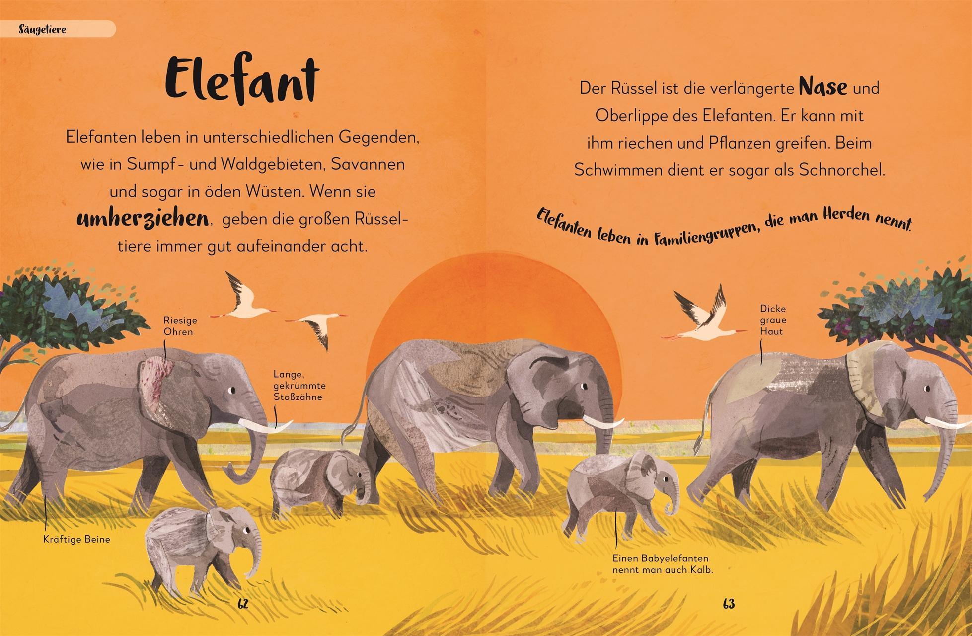 Mein liebstes Buch der Tiere