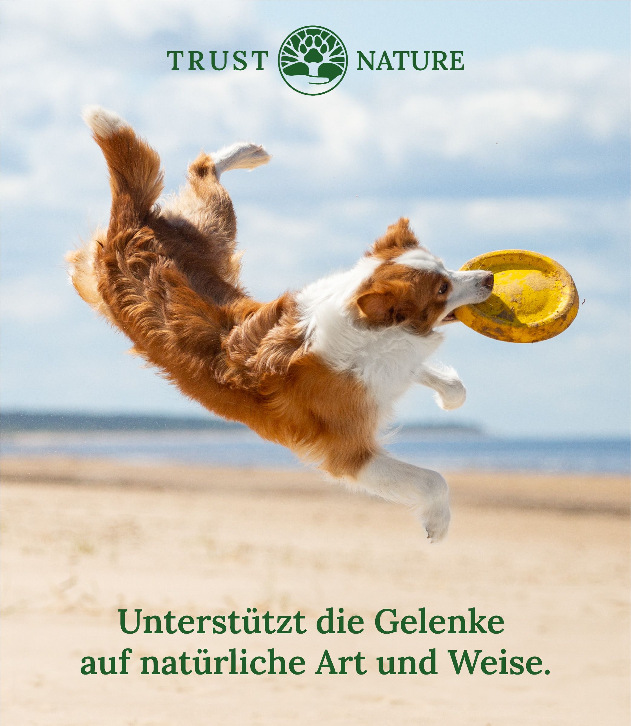 Trust Nature Bio Gelenkpulver für Hunde
