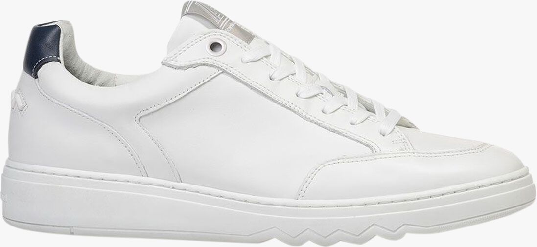 FLORIS VAN BOMMEL witte floris van bommel lage sneakers sfm-10183