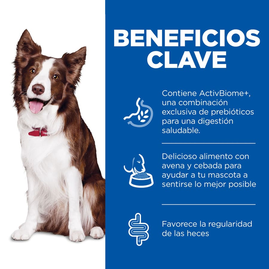 Ração Hill's Science Plan Perfect Digestion para Cães Adultos de Porte Médio com Sabor de Frango