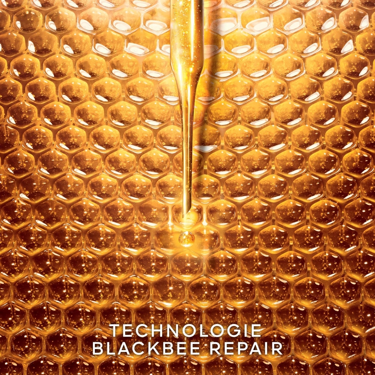 GUERLAIN Abeille Royale Crème Jour Riche