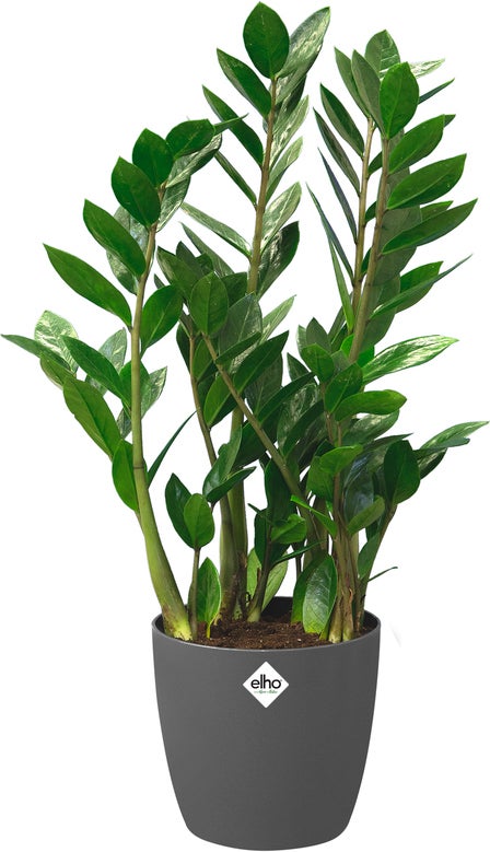 Elho bloempot Brussels antraciet D 39 H 36,5 cm