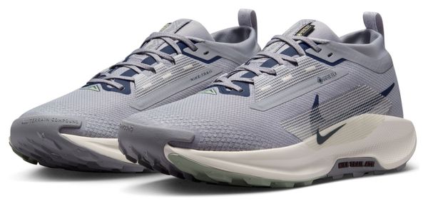 Chaussures Trail Nike Pegasus Trail 5 GTX Gris Homme