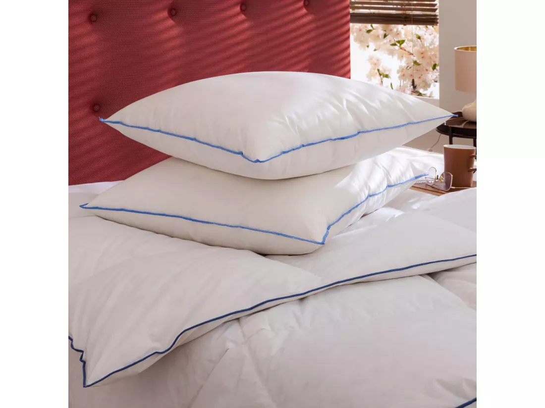 Lot de 2 oreillers moelleux duvet de canard anti-allergènes Someo 60x60