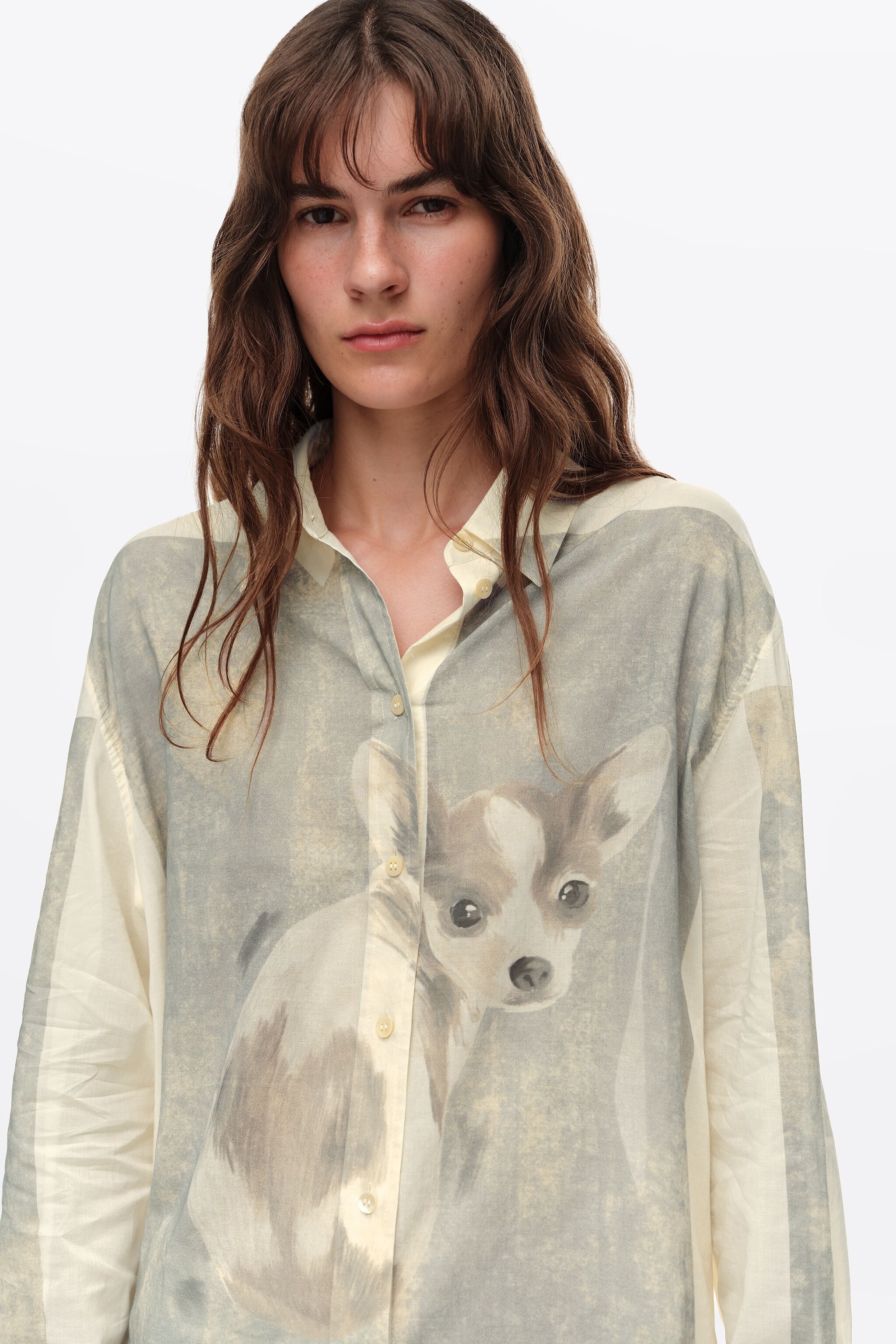 Camisa cinza claro com estampa de chihuahua