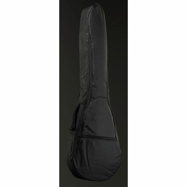 Harley Benton Traveler-E-Steel