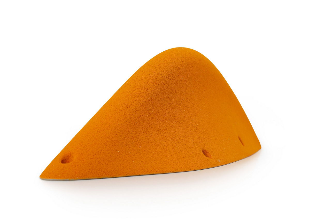 Axis Fin Macro 06