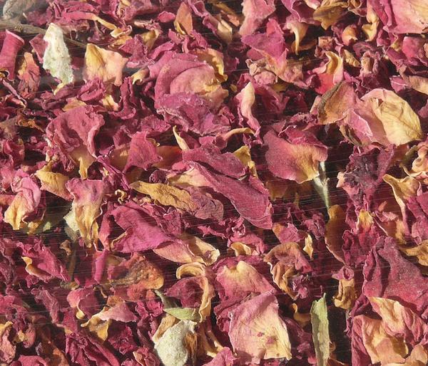 Hugro® Blüten- & Blätter-Box, 5-teilig