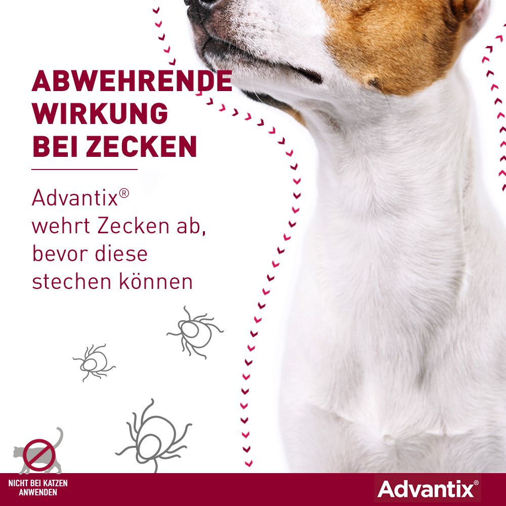 Advantix® Spot on für Hunde bis 4 kg