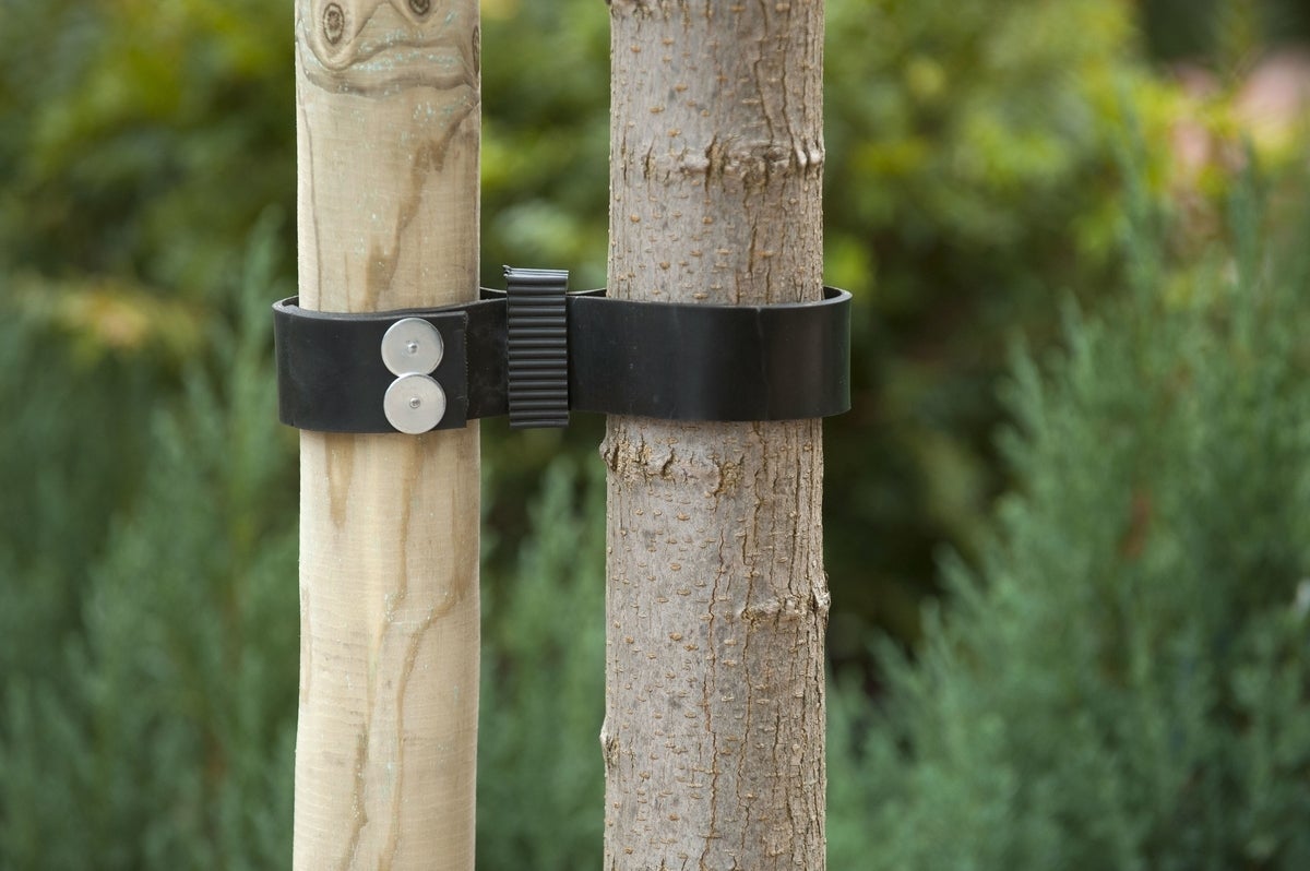 Nature boomband rubber/canvas 60x3,8cm 2st