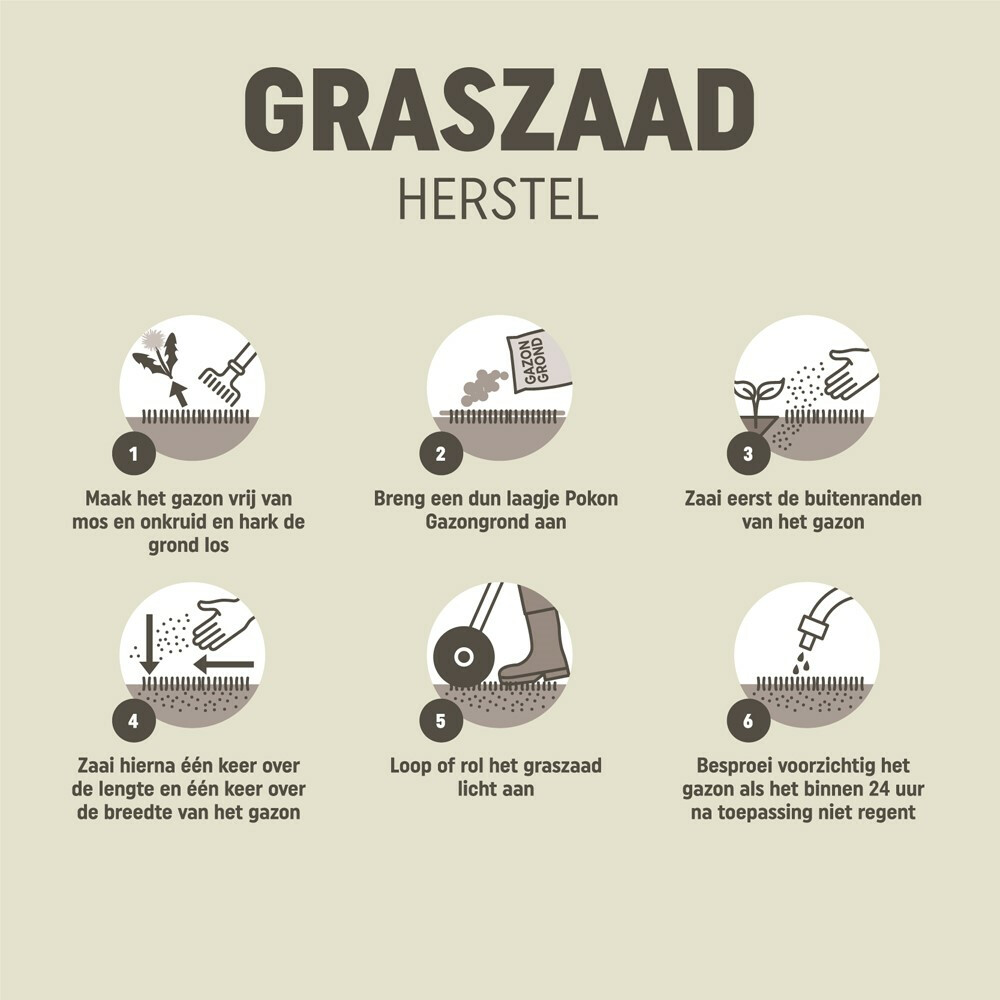 Pokon Graszaad Herstel2 kg