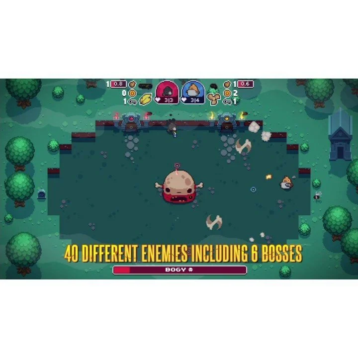 Blazing Beaks- Nintendo Switch