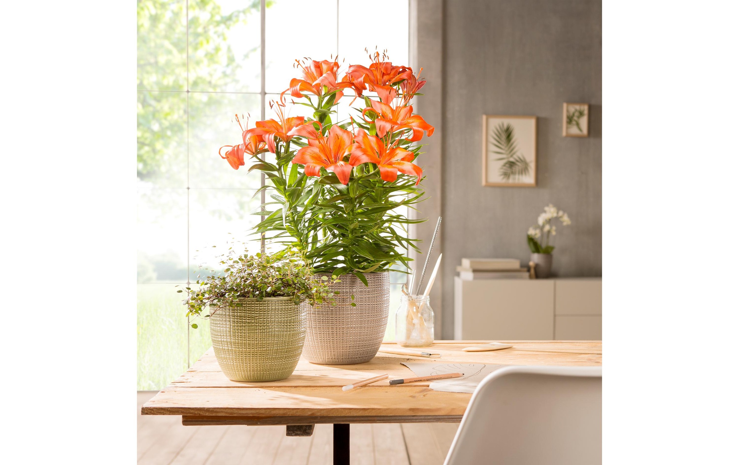 Scheurich Blumentopf »Übertopf Keramik«