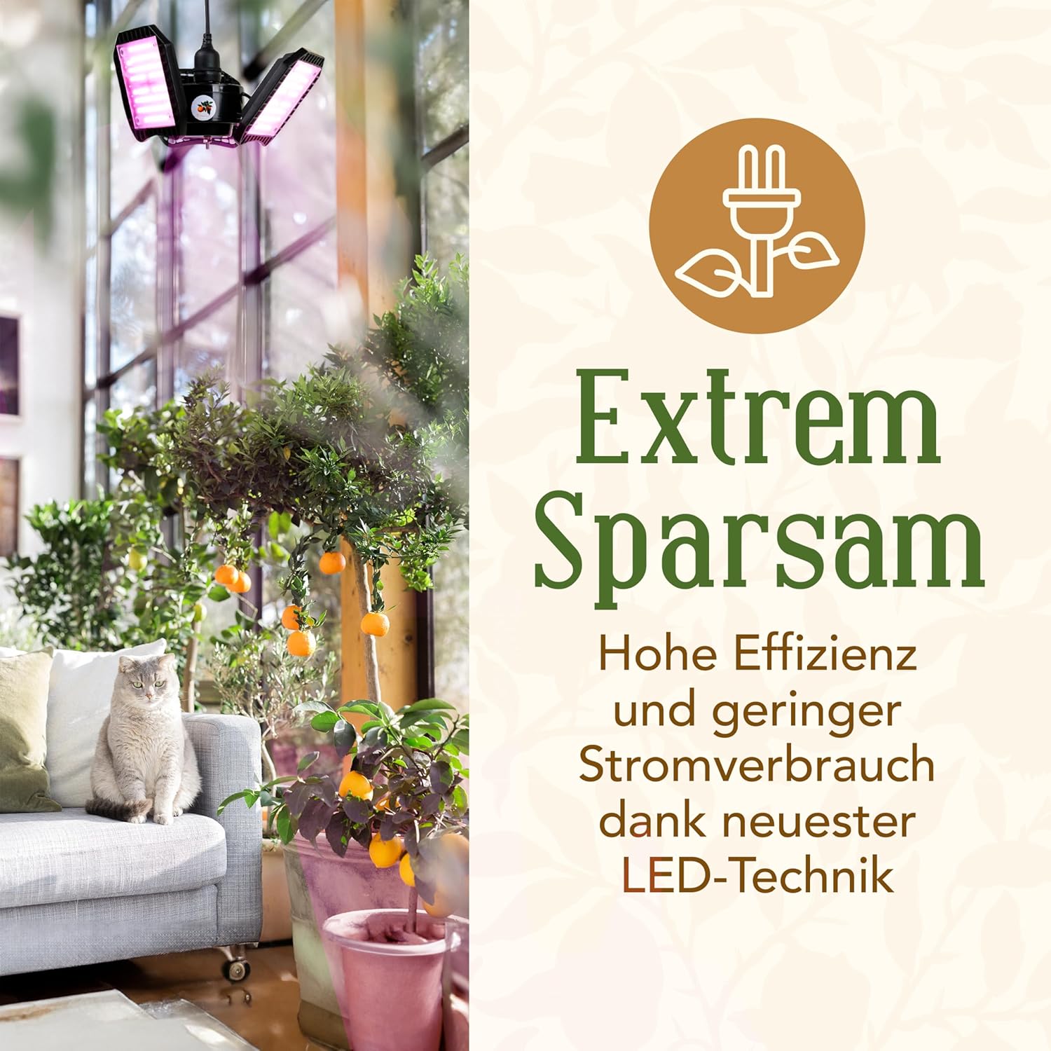 Meine Orangerie - LED-Pflanzenlampe FLEX [60W] - Vollspektrum LED Pflanzenleuchte zur Überwinterung von mediterranen Pflanzen - Entwickelt mit den Zitruspflanzen-Profis (LED Lampe)