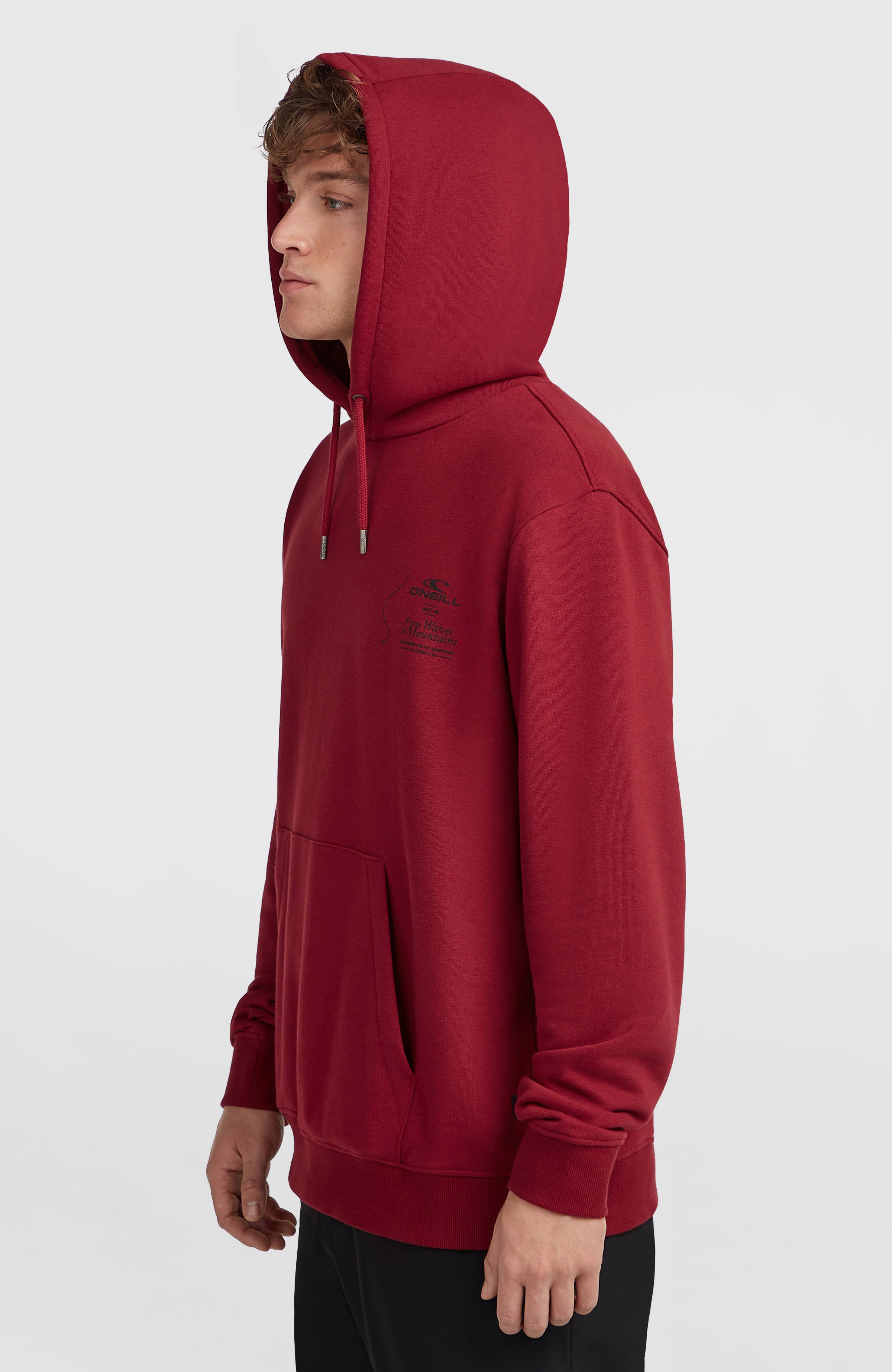 O'Neill Must-Have hoodie