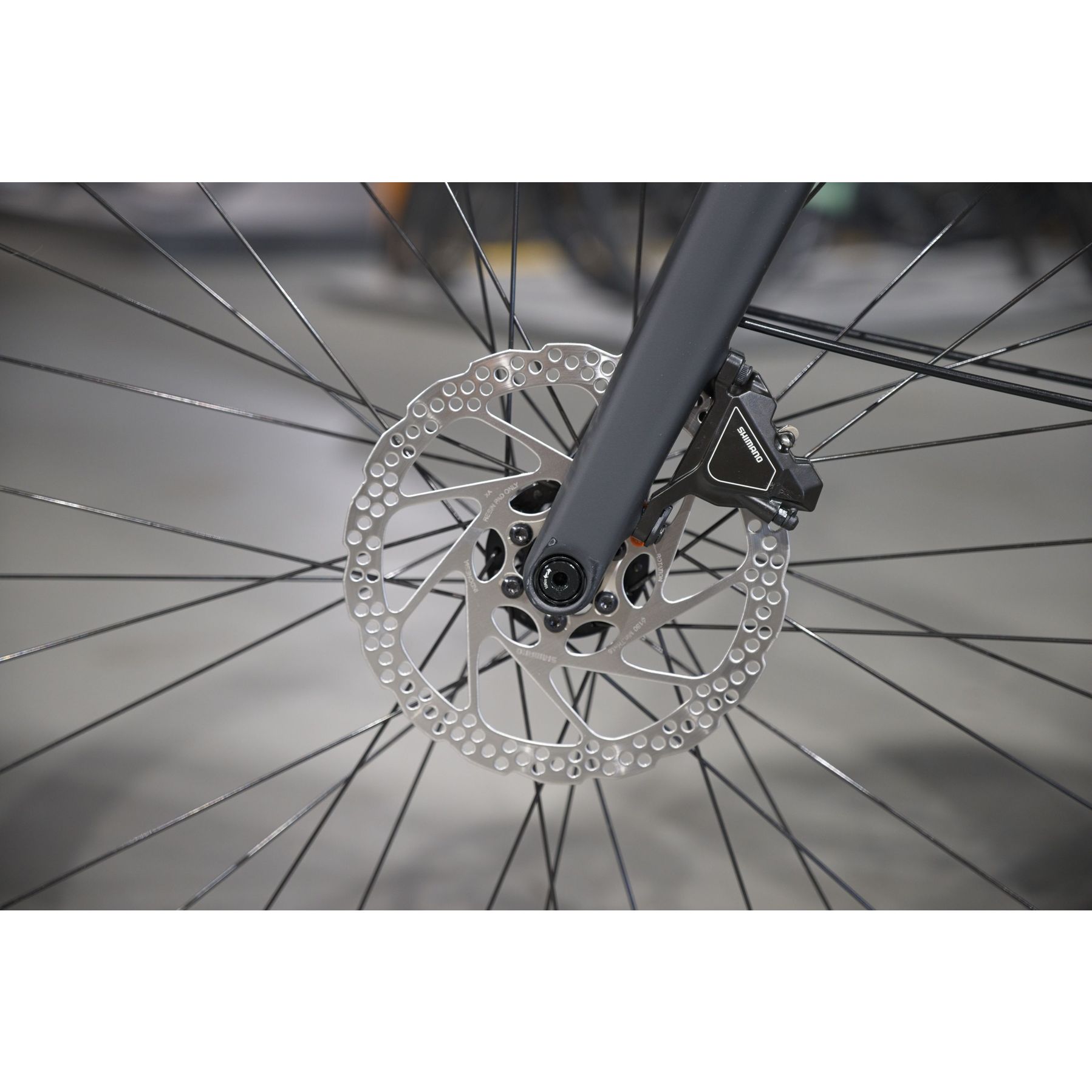 Koga E-F3 6.0 2026