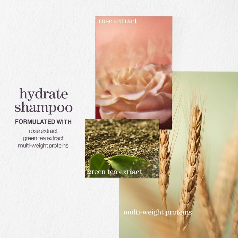 Pureology - Hydrate Shampoo Duo - 2 x 266ml