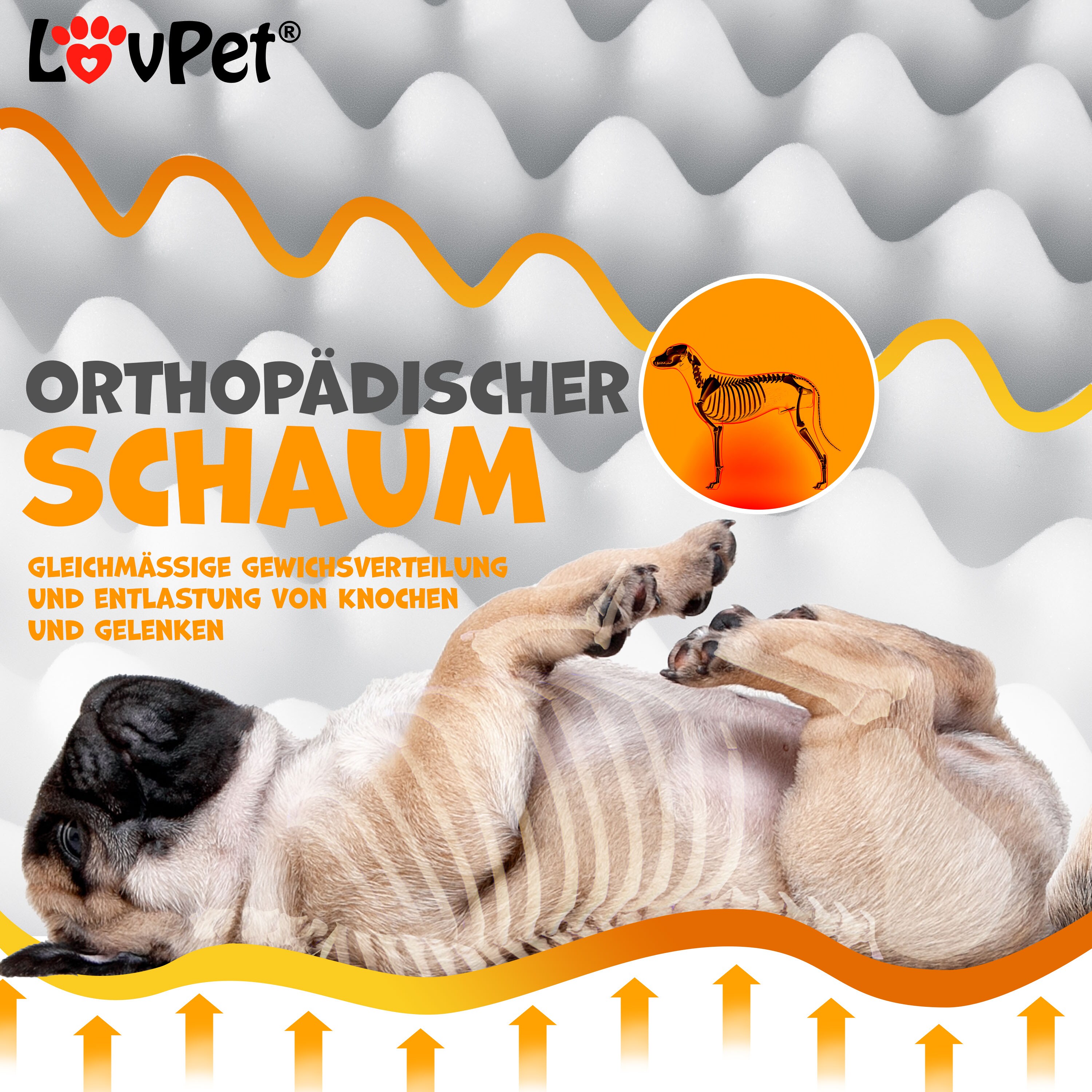 LovPet® Hundebett orthopädisches Hundekissen Hundekorb Cookie, Inkl. Napf + 3X Kauknochen, Hundesofa für Kleine, Mittelgroße & Große Hunde, Bezug abnehmbar und waschbar