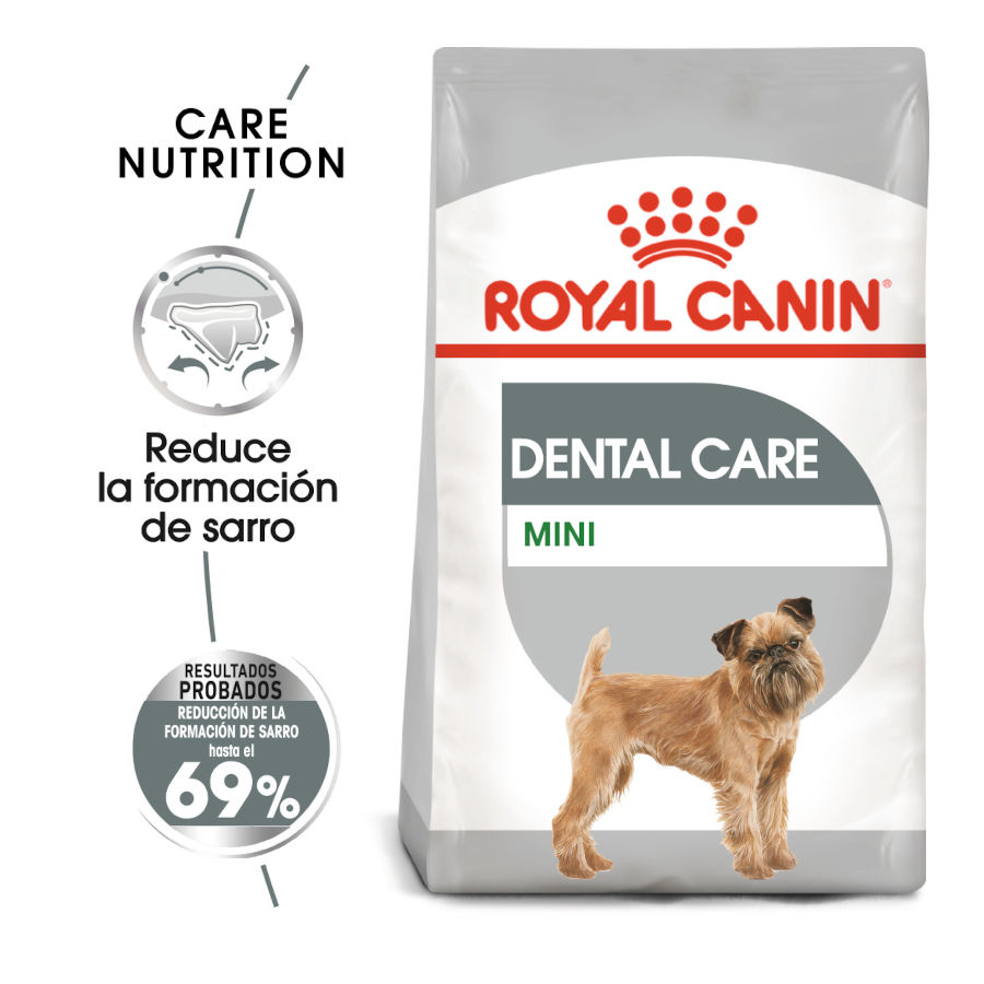 Ração Royal Canin Dental Care Mini para cães