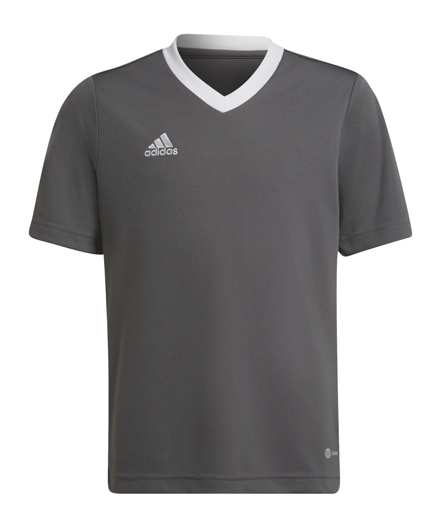 adidas Entrada 22 Trikot Kids Grau Weiss