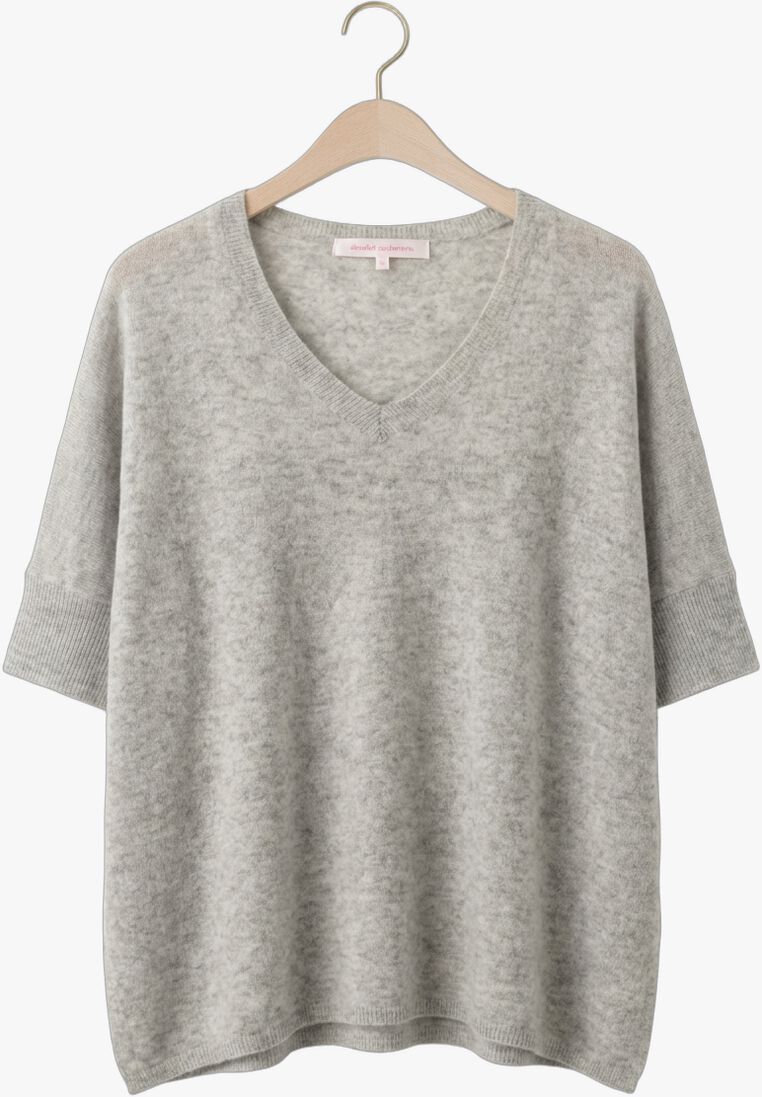 grijze absolut cashmere truien/vesten kate