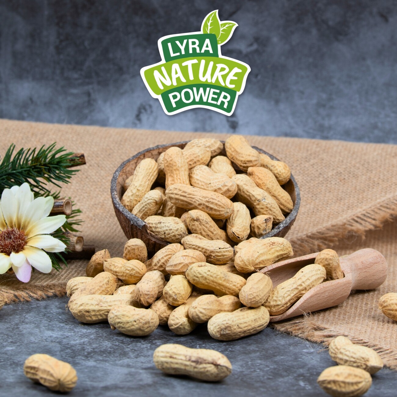 Lyra Pet Erdnusskerne in Schoten 10 kg