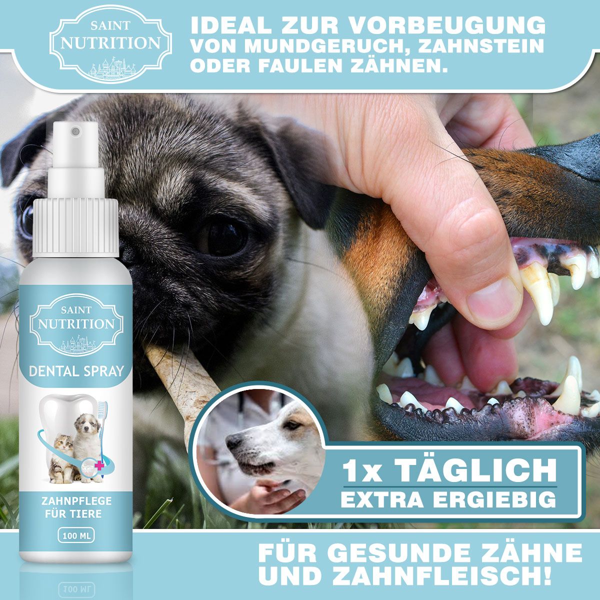 Saint Nutrition® | Dental Spray | gegen Maulgeruch